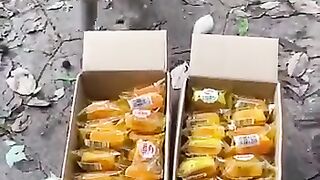 Funny video