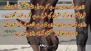 Ghurur o takabur