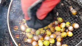 Roasted chestnut, Grilled ginkgo nut _korean street