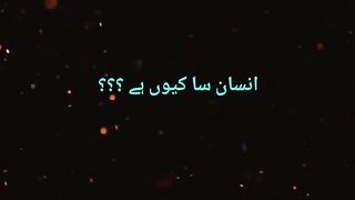 Insan sa Kyu hai???