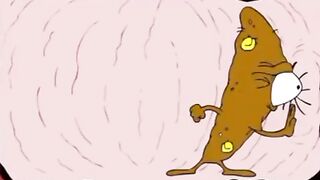 funny videos