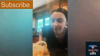Laughing not allowed Funny videos alongwith funny memes