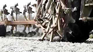 Agriculture