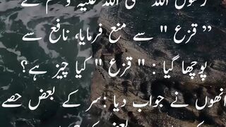 #hadeesmubarak #islamicstatus #youtubeshorts hadees mubarak
