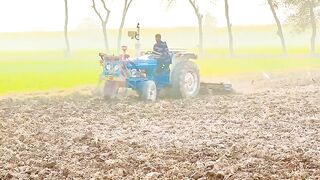 Agriculture Of Punjab Pakistan