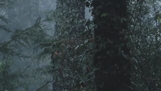 Rain sound for sleep