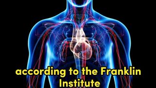 Circulatory system