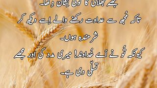 Urdu bible verses