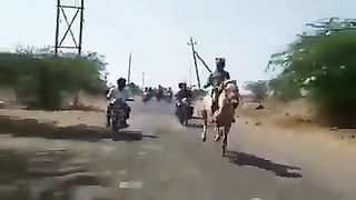 Full Amazing Funny Video 2023