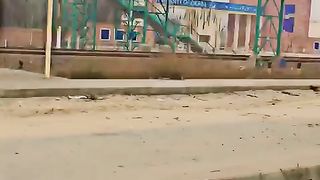 Okara