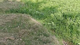 Desi video