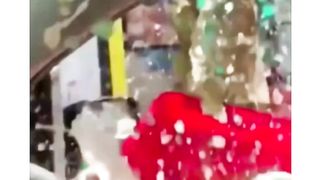Funny video