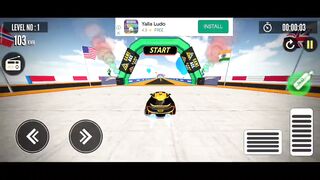 Crazy Ramp Race