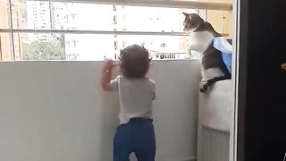 Cat funny safety