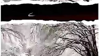 ماں کی محبّت