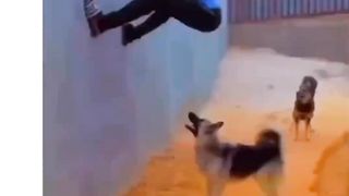 Неудачный ден