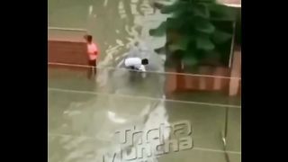 Умний друг