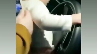 Малиш