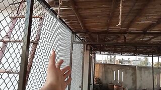 How to make cage for Birds and hen's