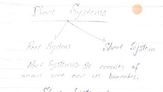 Plant System