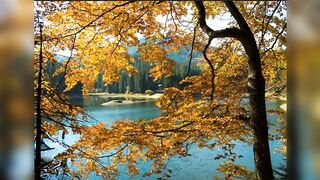relaxing music backgroung vedio
