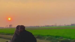 Nature View | village life