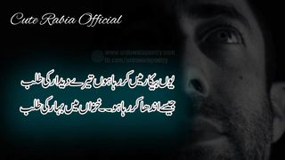 Best Aqwal e zareen Urdu Aqwal