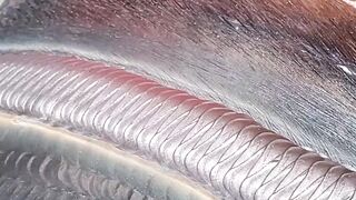 tig welding and tricks