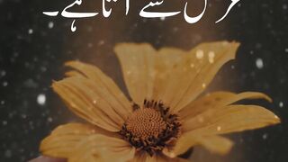 Agar Insan Saaber Hu Status | Amazing Urdu Quote | Saber Status | Sajjad Voice #Shorts
