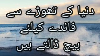Quran verses
