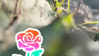 Tasveer tari ku chan mahi song short video..