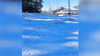 Shogran
