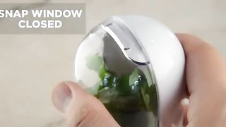 Herbs fresher container