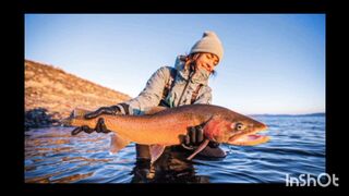 Trout for clout video - using a trout for clout - trout for clout reddit - trout for clout video full