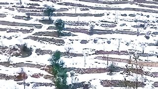 2023 snow