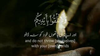 Qurani tilawat in beautiful voice/islamic video.