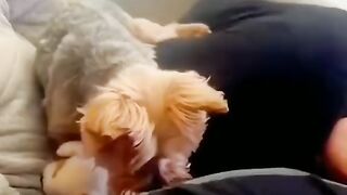 Funny animals in your life!