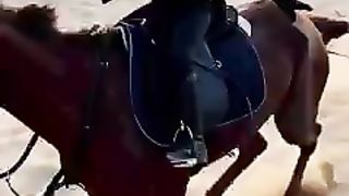 I love ???? horse ???? riding