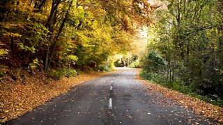 nature nice views