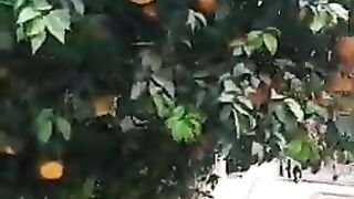 nature nice views