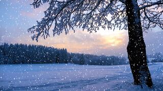 Snow Falling