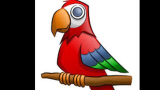 How to draw a bird / parrot ????