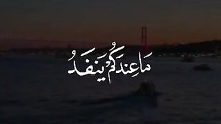 Tilawat e Quran in beautiful heart touching voice/islamic video.