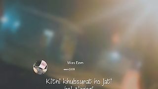 Stetas for whatsapp mobile
