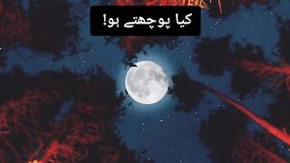 sad poetry in urdu♥