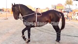 Punnnoo