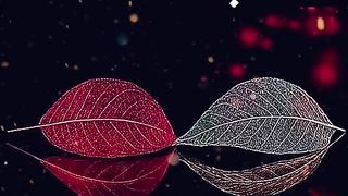 Urdu poetry ????¦¦ urdu lines ¦¦ deep feelings lines