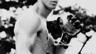 Barosa lee Fighting and boxing