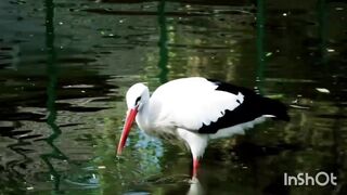 Beauty of Nature