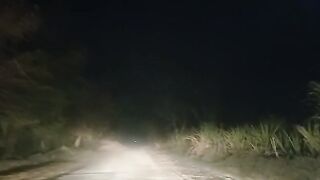 Driving in dark road alone | Interior Sindh on the way to khairpur